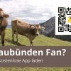 10x Sticker Graubünden Fan