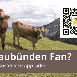 10x Sticker Graubünden Fan