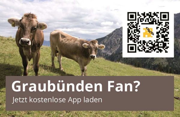 10x Sticker Graubünden Fan