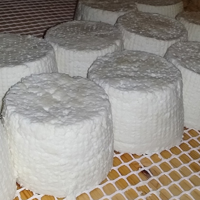 Ziegenkäse Mascarpin